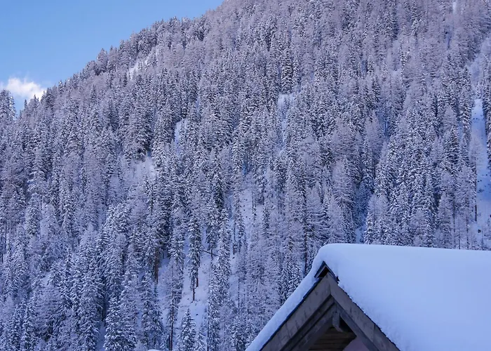 Bergwaldzauber - Haus Zur Post Samnaun